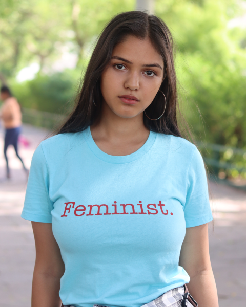 Feminist - Blue